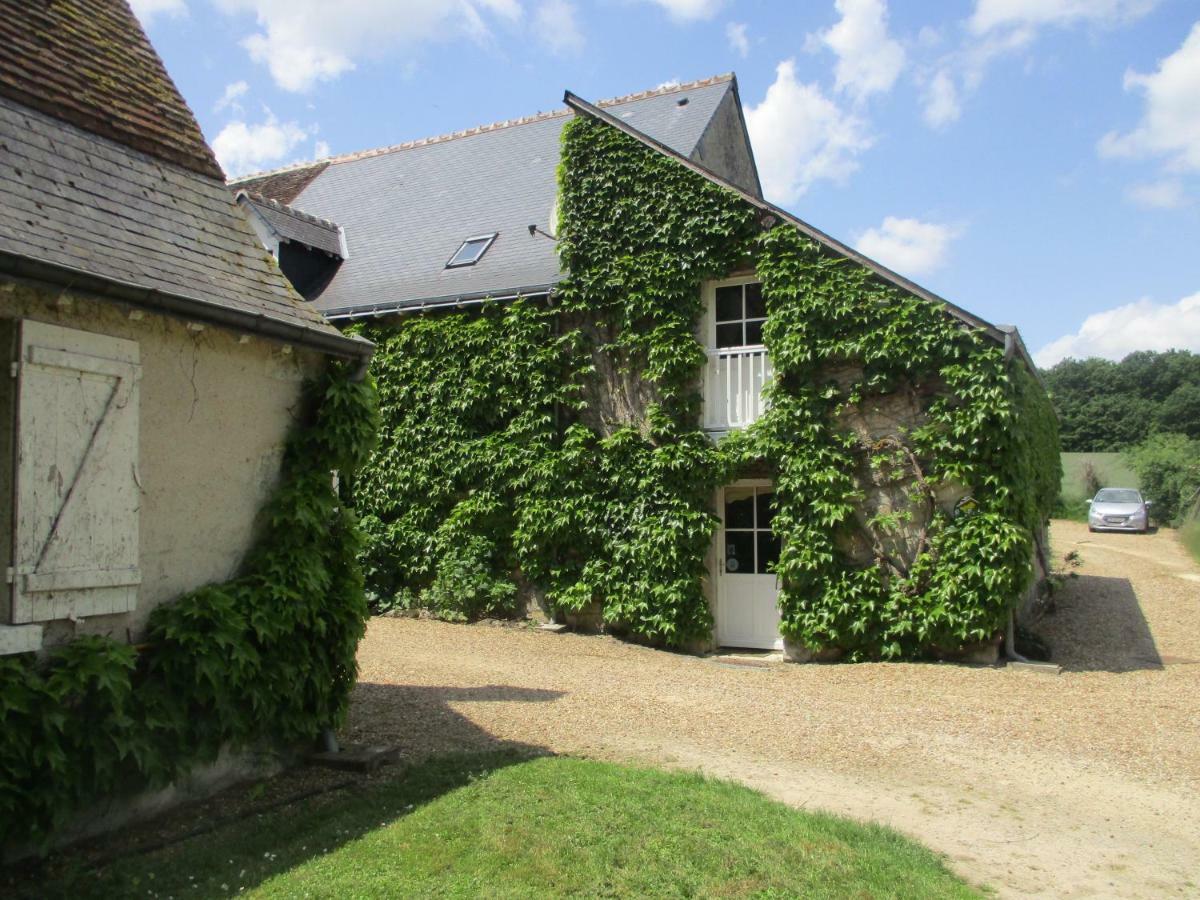 Chambres D'Hotes La Ferme Du Grand Launay Semblancay Exterior photo